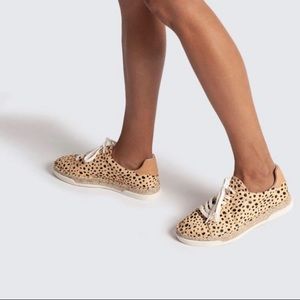 Dolce Vita Madox Sneakers in Leopard